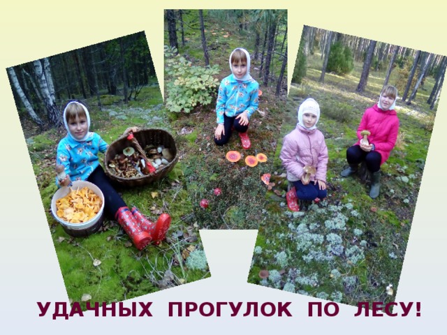 УДАЧНЫХ ПРОГУЛОК ПО ЛЕСУ!