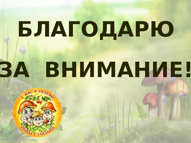 БЛАГОДАРЮ ЗА ВНИМАНИЕ!