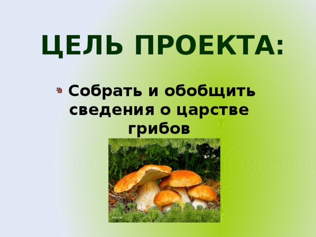 ЦЕЛЬ ПРОЕКТА:  Собрать и обобщить сведения о царстве грибов