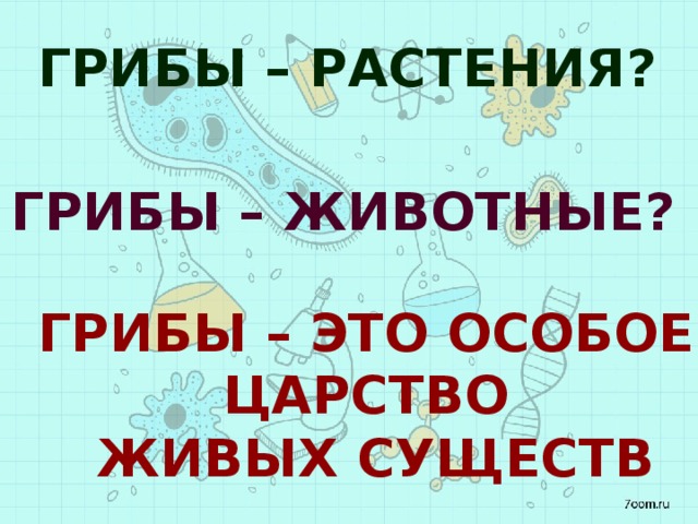 ГРИБЫ – растения? ГРИБЫ – животные? Грибы – это особое царство живых существ