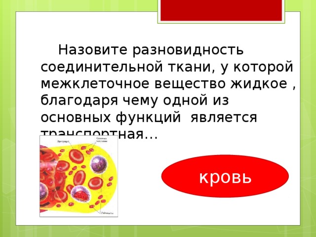  Назовите разновидность соединительной ткани, у которой межклеточное вещество жидкое , благодаря чему одной из основных функций является транспортная… кровь 