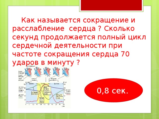  Как называется сокращение и расслабление сердца ? Сколько секунд продолжается полный цикл сердечной деятельности при частоте сокращения сердца 70 ударов в минуту ? 0,8 сек.   