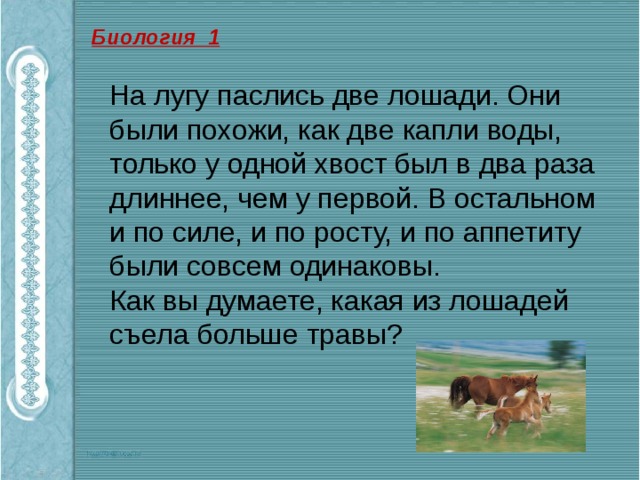 На лугу ответы на вопросы. На лугу паслись две лошади они были похожи как две капли воды. Задача на лугу паслось 6 коз. Как писать правильно телёнок пасся на лугу. Корова паслась на лугу как правильно.