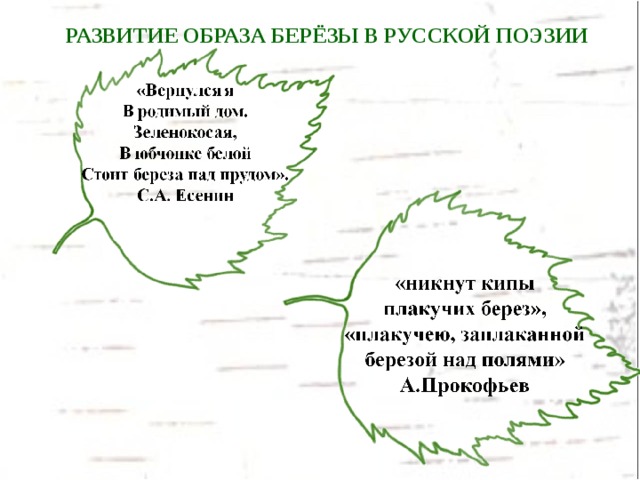 Образ березы в русской литературе проект