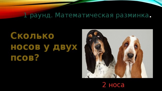 1 раунд. Математическая разминка .   Сколько носов у двух псов? 2 носа 