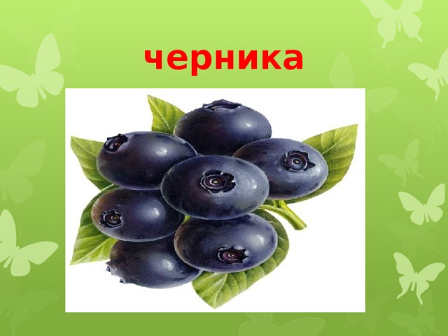 черника 