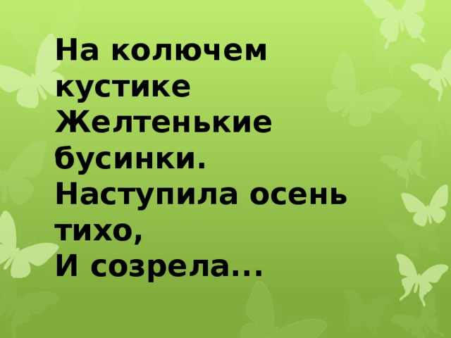 На колючем кустике  Желтенькие бусинки.  Наступила осень тихо,  И созрела... 