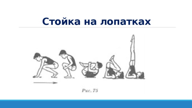 Какому разделу программы относится стойка на лопатках. Стойка на лопатках мостик. Карточка стойка на лопатках. Стойка на лопатках без помощи рук. Стойка на лопатках по физкультуре.