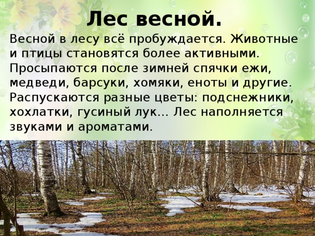 Сочинение по картине пробуждение от спячки 5 класс