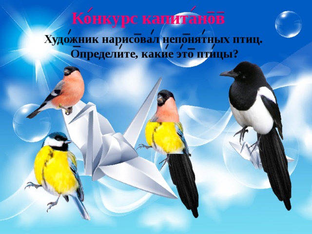 Конкурс капитанов Художник нарисовал непонятных птиц. Определите, какие это птицы? 