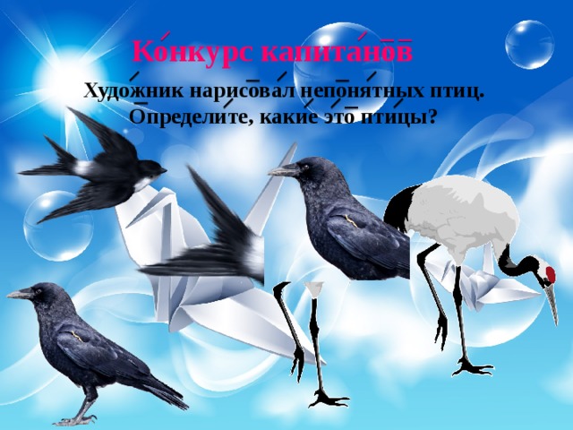 Конкурс капитанов Художник нарисовал непонятных птиц. Определите, какие это птицы? 
