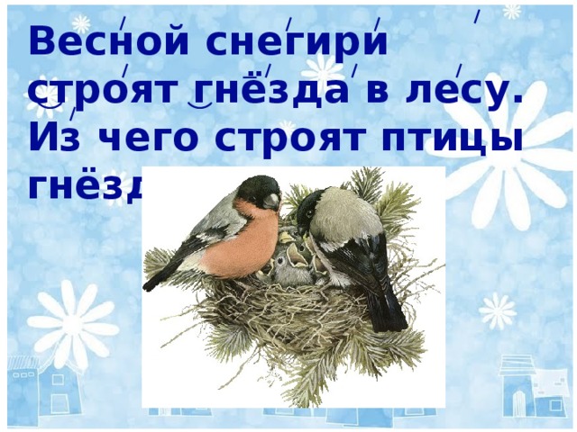 Весной снегири строят гнёзда в лесу. Из чего строят птицы гнёзда? 