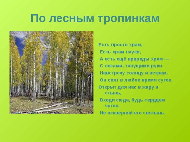 Стих тропинка. По лесным тропинкам. Лесная тропинка стихи. Викторина на лесных тропинках. Стихотворение по тропам.