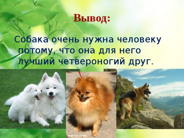 Вывод:  Собака очень нужна человеку потому, что она для него лучший четвероногий друг. 