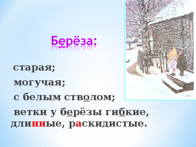   старая;  могучая;  с белым ств о лом;  ветки у б е рёзы ги б кие, дли нн ые, р а скидистые.  