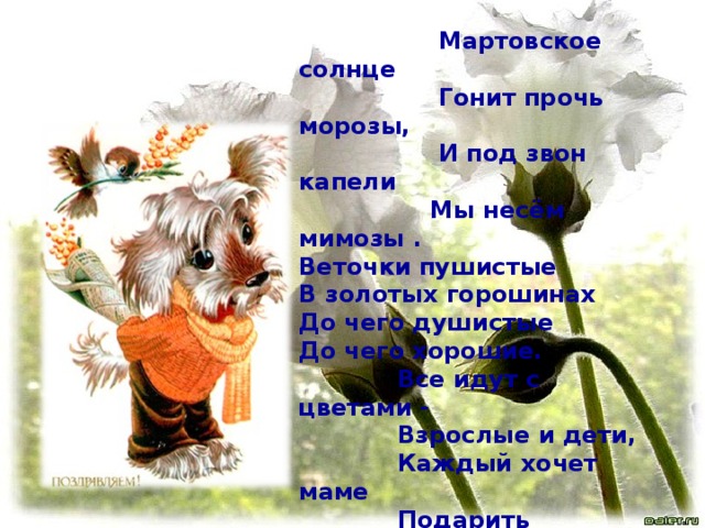  Мартовское солнце  Гонит прочь морозы,  И под звон капели  Мы несём мимозы .  Веточки пушистые  В золотых горошинах  До чего душистые  До чего хорошие.  Все идут с цветами -  Взрослые и дети,  Каждый хочет маме  Подарить букетик.   В праздничное утро  Мам своих поздравим,  Солнечный букетик  Каждой мы подарим. 