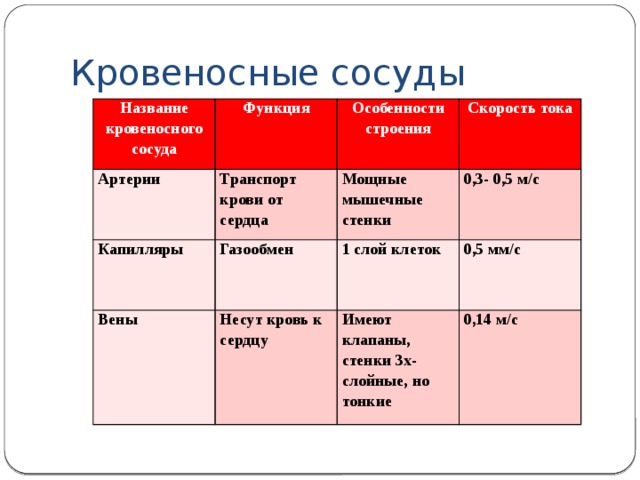 Артерии человека таблица