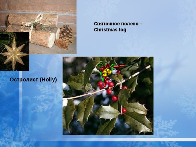 Святочное полено –  Christmas log Остролист (Holly) 