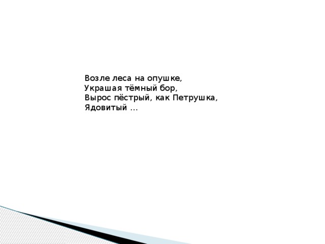 Возле леса на опушке,   Украшая тёмный бор,   Вырос пёстрый, как Петрушка,   Ядовитый … 