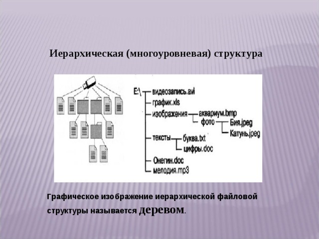 Файловые структуры информатика 7 класс. Информатика 7 класс файлы и файловые структуры. Файловые структуры 7 класс Информатика. Файлы и файловые структуры 7 класс босова. Графическое изображение файловой структуры.