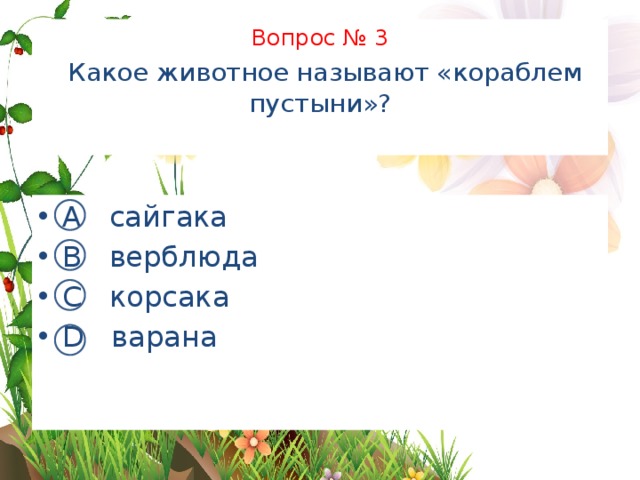 Вопрос № 3   Какое животное называют «кораблем пустыни»?   А сайгака В верблюда С корсака D варана 