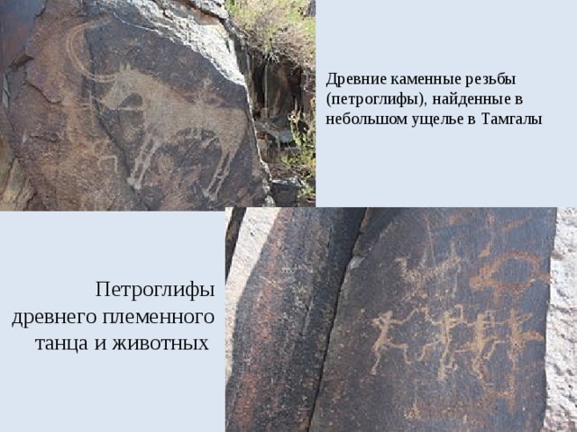 Древние каменные резьбы (петроглифы), найденные в небольшом ущелье в Тамгалы   Петроглифы древнего племенного танца и животных 