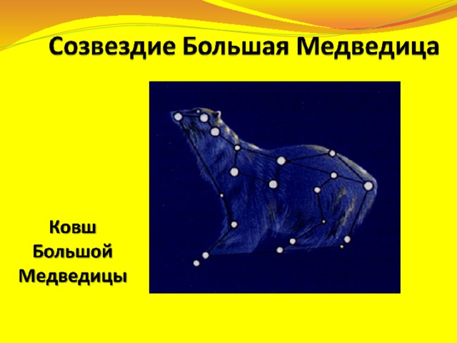 Какой тип развития характерен для медведицы пылающей изображен на рисунке