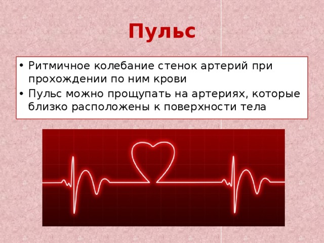 Резко сильное сердцебиение. Пульс. Самый хороший пульс. Сердцебиение ритмичное. Схема сердцебиения.