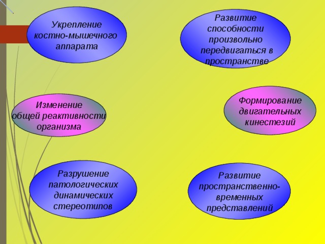 Укрепление костно-мышечного аппарата Развитие способности произвольно  передвигаться в  пространстве Формирование двигательных кинестезий Изменение общей реактивности организма Разрушение патологических динамических стереотипов Развитие пространственно- временных представлений 