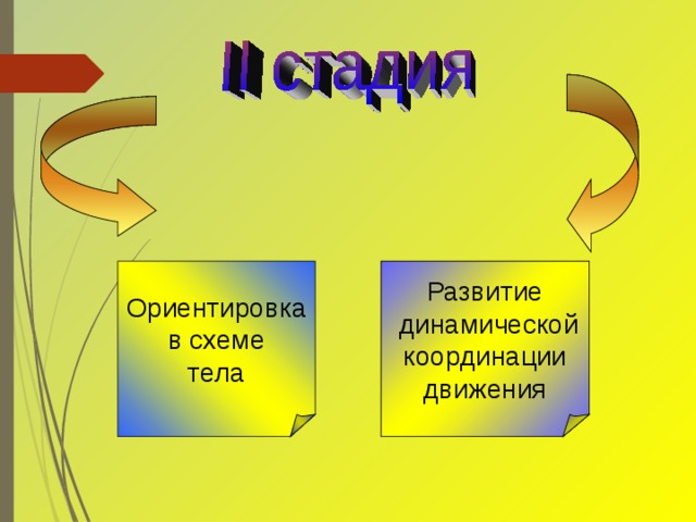 Ориентировка в схеме тела Развитие  динамической координации движения 