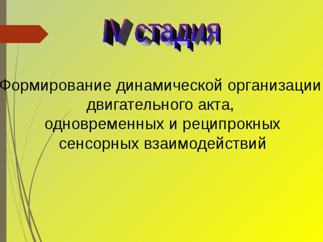 Формирование динамической организации двигательного акта, одновременных и реципрокных сенсорных взаимодействий 