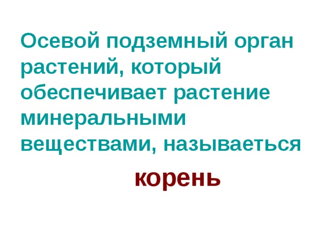 Осевой подземный орган растений, который обеспечивает растение минеральными веществами, называеться корень 