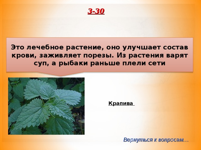 3-30 Это лечебное растение, оно улучшает состав крови, заживляет порезы. Из растения варят суп, а рыбаки раньше плели сети Крапива Вернуться к вопросам… 