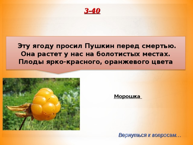 3-40  Эту ягоду просил Пушкин перед смертью. Она растет у нас на болотистых местах. Плоды ярко-красного, оранжевого цвета Морошка Вернуться к вопросам… 