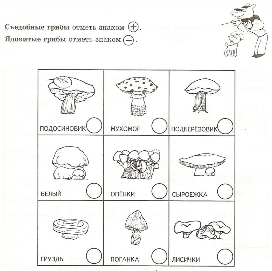 Конспект занятия по ознакомлению с окружающим. Грибы съедобные и несъедобные задания для детей. Несъедобные грибы задания для детей. Грибы задания для дошкольников. Задания на тему грибы для дошкольников.