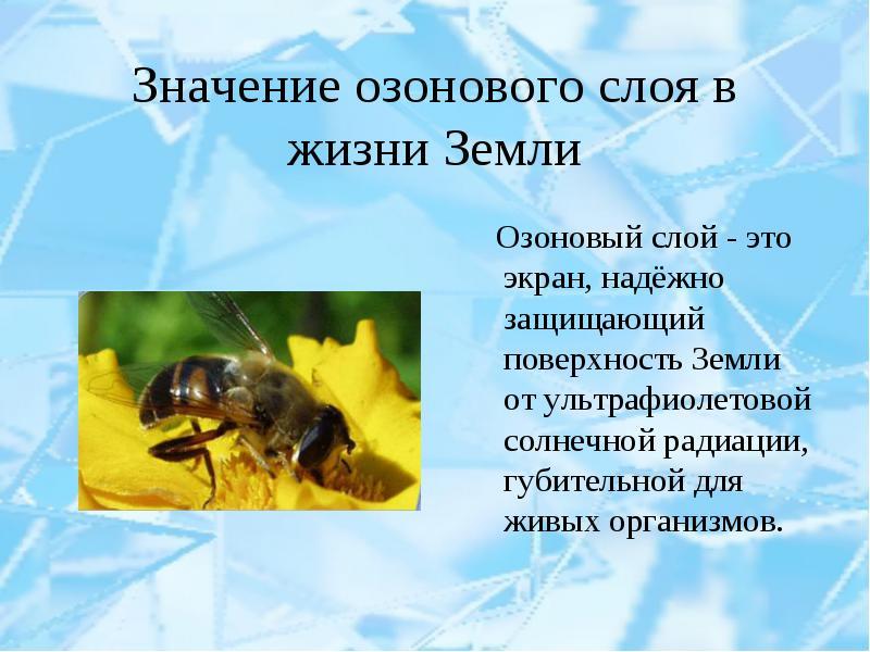 Значение озона на земле. Значение озонового слоя. Значение озона для жизни на земле. Значение озонового слоя для жизни на земле. Что такое озоновый слой и какое значение.