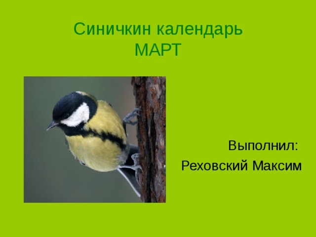 Синичкин календарь. Синичкин календарь Бианки март. Синичкин календарь март диафильм. Синичкин календарь март план. Фото презентация Синичкин календарь.