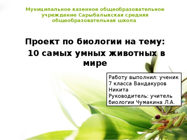 Исследовательская работа по биологии 10 класс готовые проекты