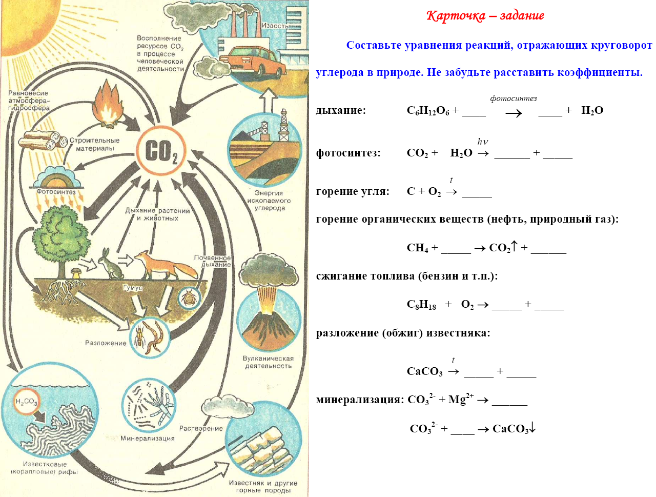 Схема круговорота углерода в природе впр. Круговорот углерода фотосинтез. Круговорот углерода в природе. Круговорот углерода в природе с уравнениями реакций. Круговорот в природе схема.