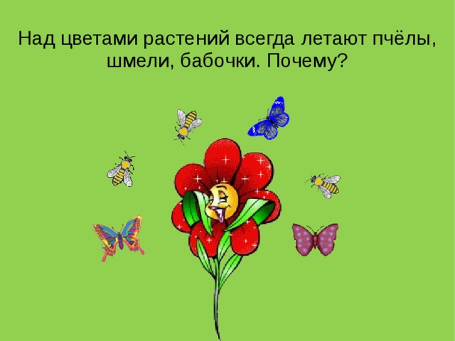 Чем животные помогают растениям размножаться. Смотреть фото Чем животные помогают растениям размножаться. Смотреть картинку Чем животные помогают растениям размножаться. Картинка про Чем животные помогают растениям размножаться. Фото Чем животные помогают растениям размножаться
