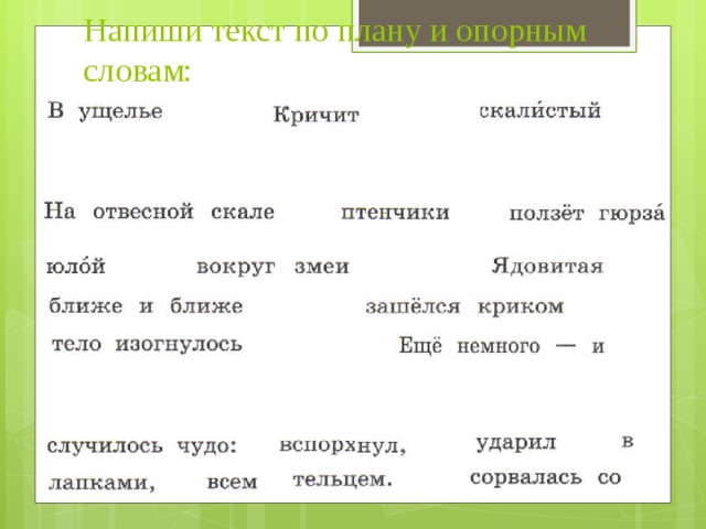 Смелый дрозд план текста составьте и запишите