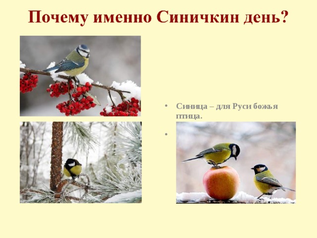 Синица – для Руси божья птица.   В народе говорили «Невелика птичка синичка, а свой праздник знает».