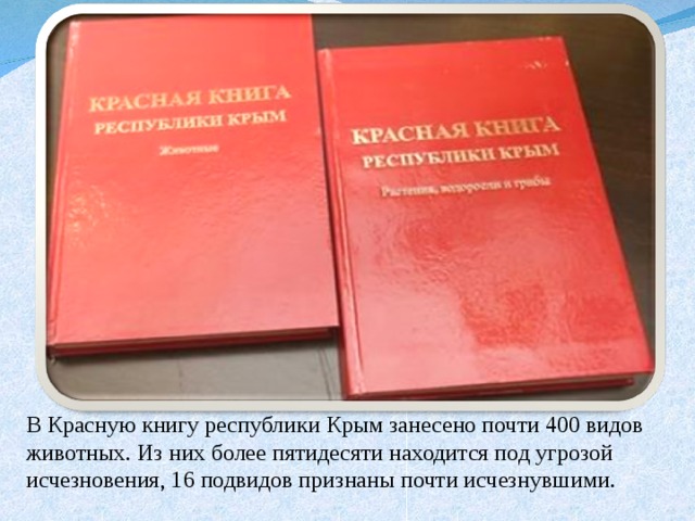 В Красную книгу республики Крым занесено почти 400 видов животных. Из них более пятидесяти находится под угрозой исчезновения, 16 подвидов признаны почти исчезнувшими. 