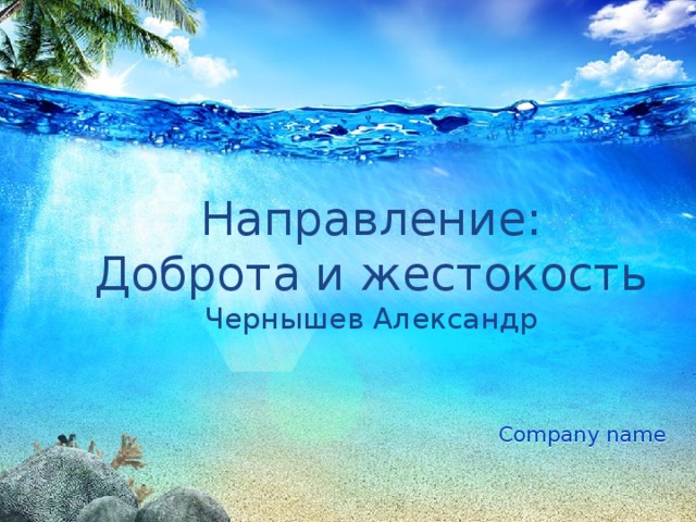 Направление:  Доброта и жестокость  Чернышев Александр    Company name 