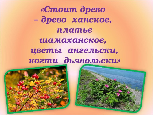 «Стоит древо – древо ханское, платье шамаханское, цветы ангельски, когти дьявольски»