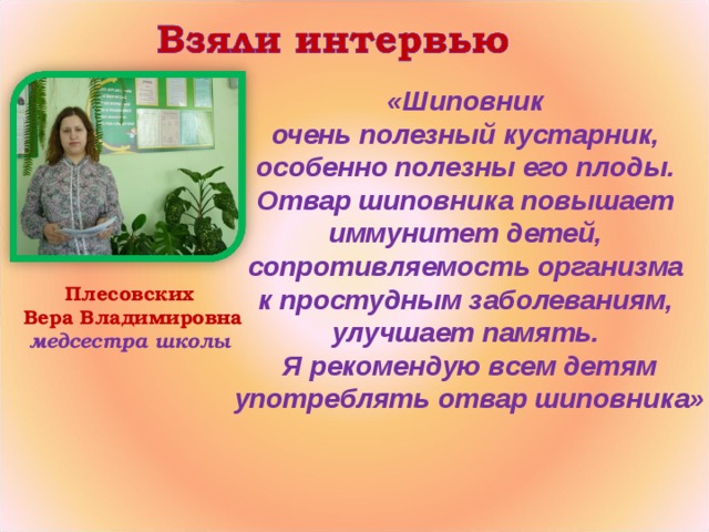 «Шиповник очень полезный кустарник, особенно полезны его плоды. Отвар шиповника повышает иммунитет детей, сопротивляемость организма к простудным заболеваниям, улучшает память. Я рекомендую всем детям употреблять отвар шиповника» Плесовских Вера Владимировна медсестра школы