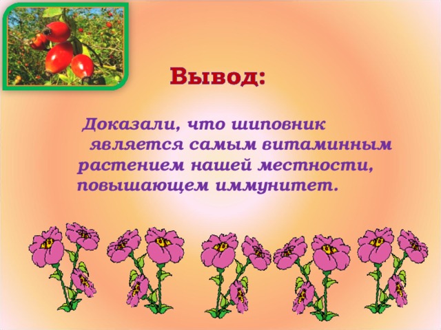 Доказали, что шиповник является самым витаминным растением нашей местности,  повышающем иммунитет.