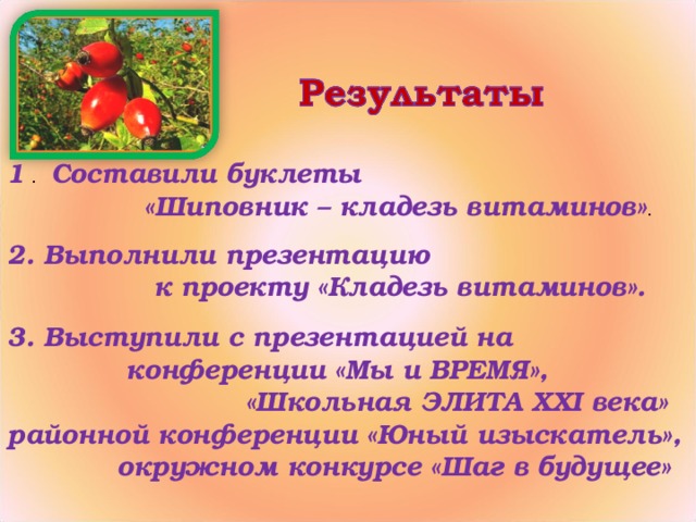 1 . Составили буклеты  «Шиповник – кладезь витаминов» . 2 . Выполнили презентацию  к проекту «Кладезь витаминов». 3 . Выступили с презентацией на  конференции «Мы и ВРЕМЯ»,  «Школьная ЭЛИТА ХХ I века» районной конференции «Юный изыскатель»,  окружном конкурсе «Шаг в будущее»