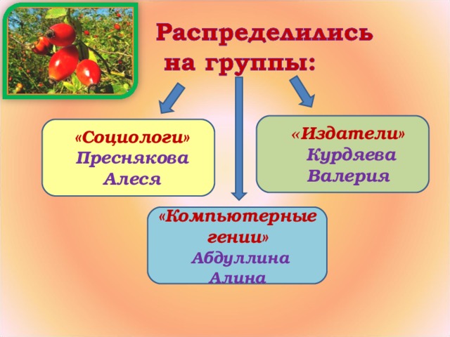 « Издатели»  Курдяева Валерия «Социологи» Преснякова Алеся «Компьютерные гении»  Абдуллина Алина