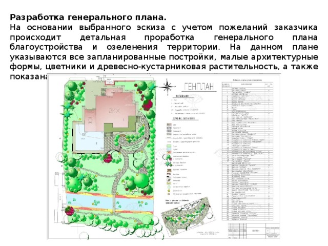 План озеленения территории школы